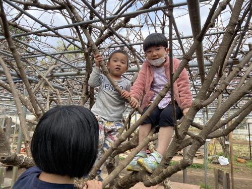 こど森では、来ていた幼児さんのお姉ちゃんにもなれます。