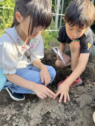 あそびーむ畑種植え２