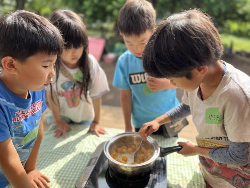 森で梅ジャムづくり